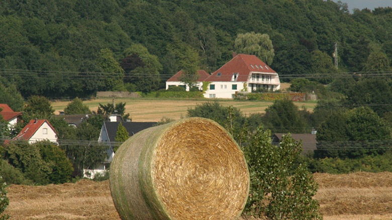Landwirtschaft