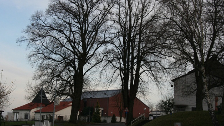 CDU Wachtberg