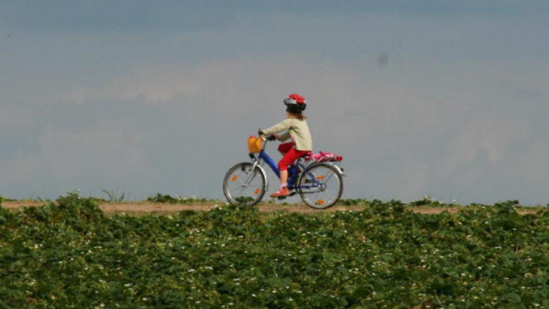 Radwegekonzept