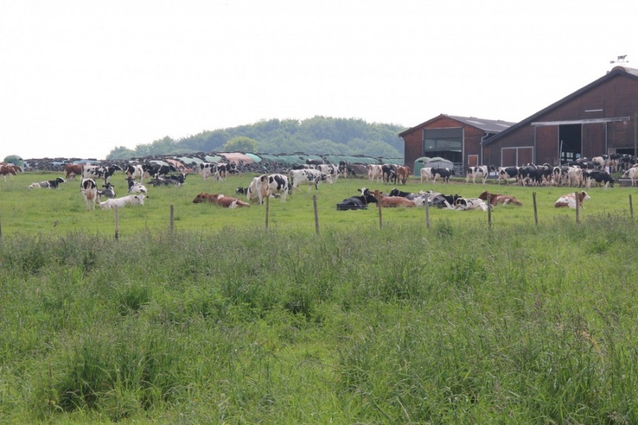 Beckschäfer vor Ort in Adendorf und Werthhoven (Mai 2014)