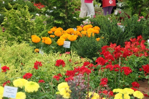 CDU-Sommerfahrt zur Bundesgartenschau in Koblenz (Juli 2011)