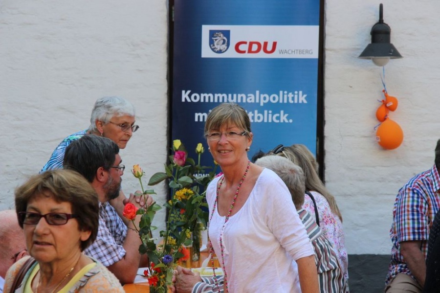 Impressionen vom 34. Köllenhoffest der CDU (Juli 2013)