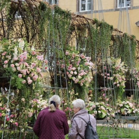 Größeres Bild ansehen