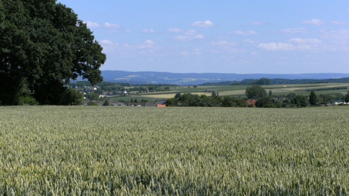 Wachtberg