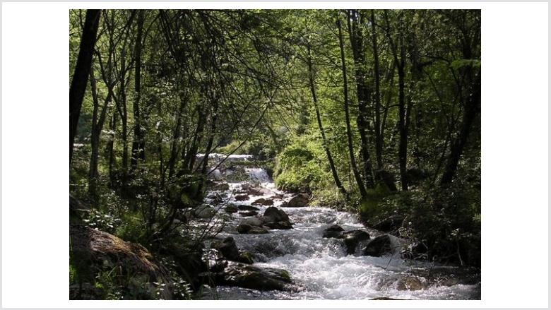 Neue Kompetenz für Hochwasserschutz und Gewässerökologie Neue Kompetenz für Hochwasserschutz und Gewässerökologie