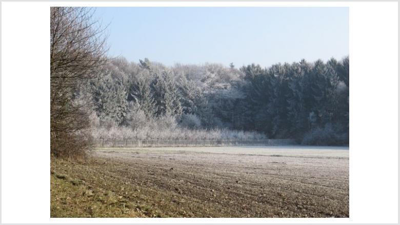 Regionales Bündnis für Klimaschutz nimmt konkrete Formen an Regionales Bündnis für Klimaschutz nimmt konkrete Formen an
