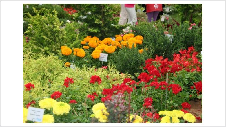CDU-Sommerfahrt zur Bundesgartenschau in Koblenz